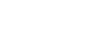 Kings and Wealth Logo B white-01
