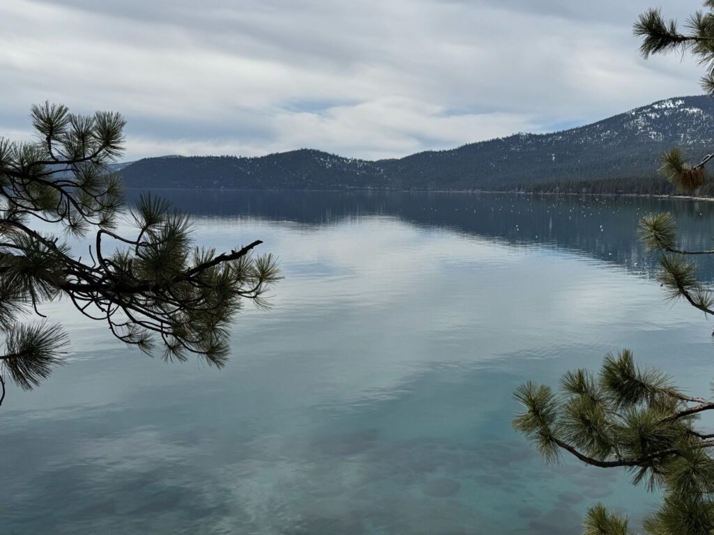 WhatsApp Image 2025-04-13 at 01.47.07_f1c788af