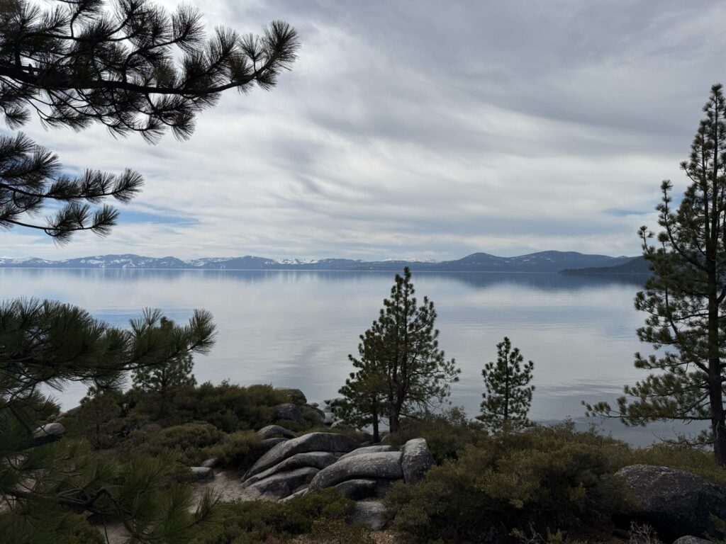 WhatsApp Image 2025-04-13 at 01.48.08_fe78f1ab