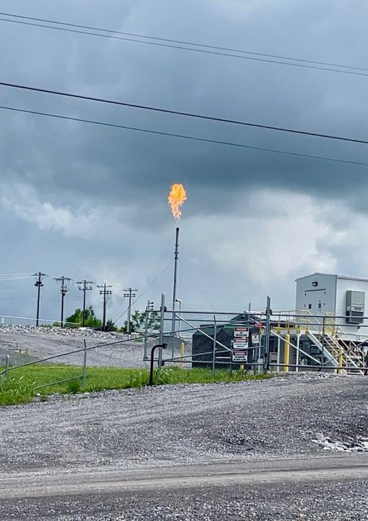 WhatsApp Image 2025-05-15 at 22.47.16_5cae73f2